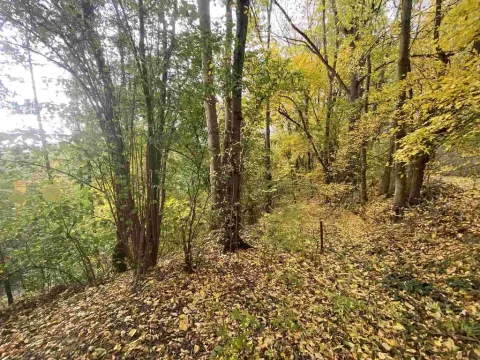 Prodej pozemku, Svijany, 2639 m2