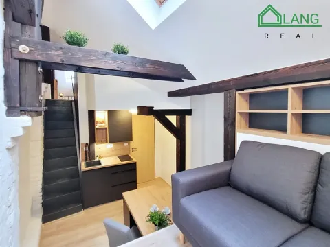 Pronájem bytu 1+kk, Brno, Francouzská, 35 m2