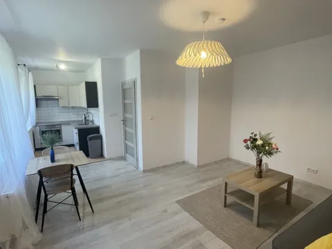 Pronájem bytu 2+kk, Hořín, 42 m2