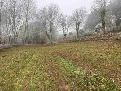 Prodej pozemku, Stará Paka, 1210 m2