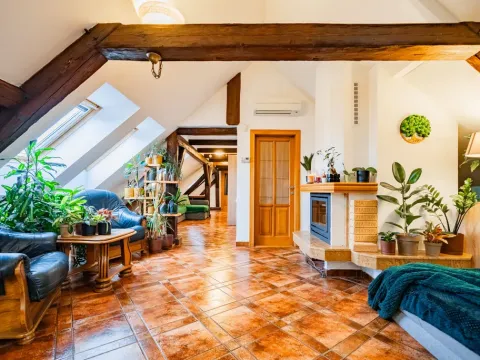 Prodej atypického bytu, Praha - Nové Město, Havlíčkova, 295 m2