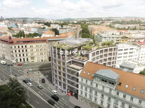 Pronájem obchodního prostoru, Brno, Milady Horákové, 234 m2