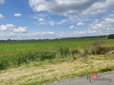 Prodej pozemku pro bydlení, Staňkovice, 4536 m2