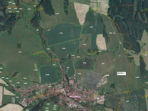 Prodej pole, Bělá nad Radbuzou, 174301 m2