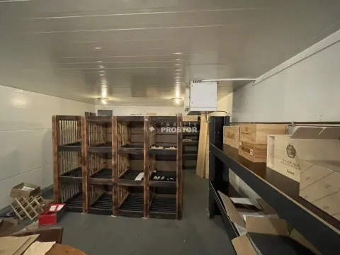 Pronájem skladu, Jirny, Tovární, 43 m2