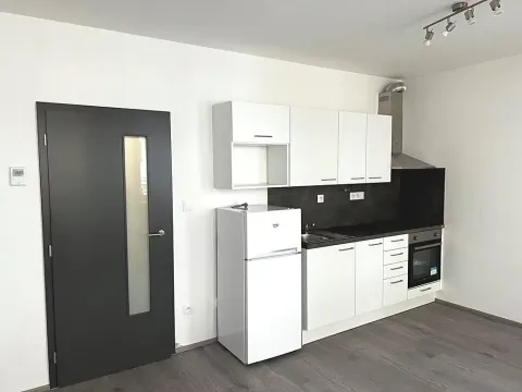 Pronájem bytu 1+kk, Brno, Hlinecká, 30 m2