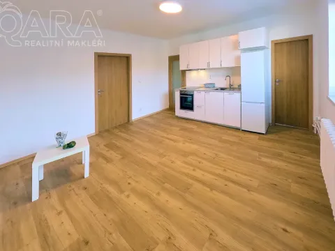 Pronájem bytu 3+kk, Praha - Vinohrady, Nad Primaskou, 56 m2