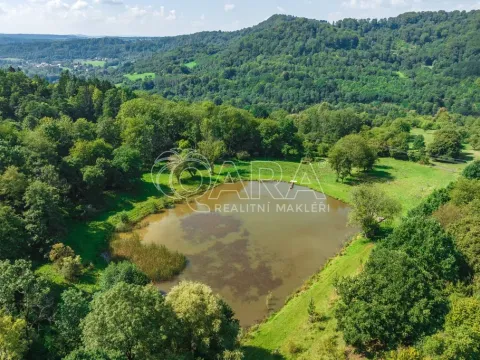 Prodej rybníku, Vojkovice - Jakubov, 40470 m2