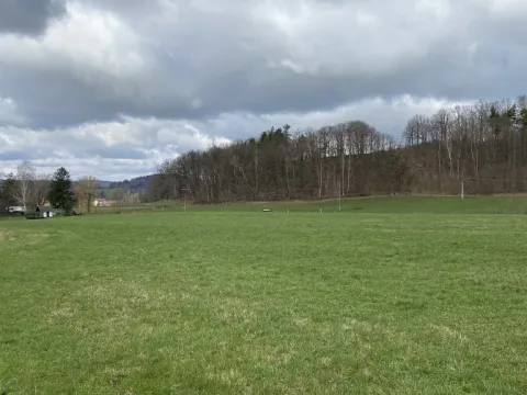 Prodej pozemku pro bydlení, Raspenava, Lužecká, 1891 m2