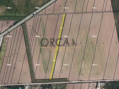 Prodej pole, Strachotín, 1904 m2