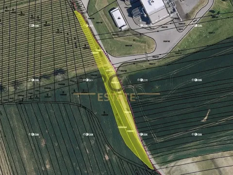 Prodej pozemku, Dambořice, 2675 m2