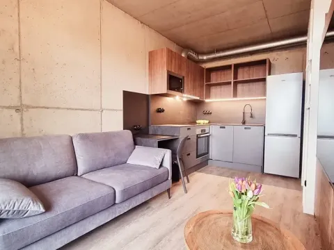 Pronájem bytu 1+kk, Brno, V rejích, 20 m2