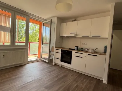 Pronájem bytu 1+kk, Pardubice, Lidická, 30 m2