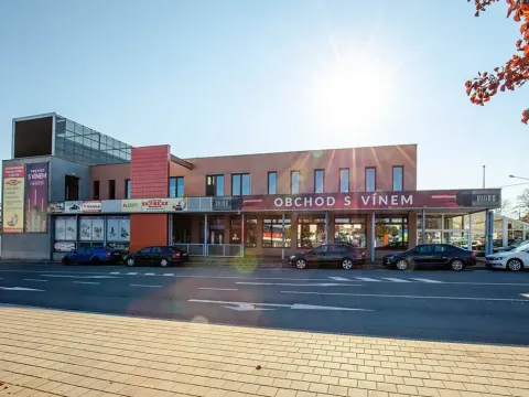 Pronájem kanceláře, Ostrava, Vítkovická, 73 m2