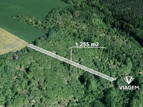 Prodej lesa, Březolupy, 1255 m2
