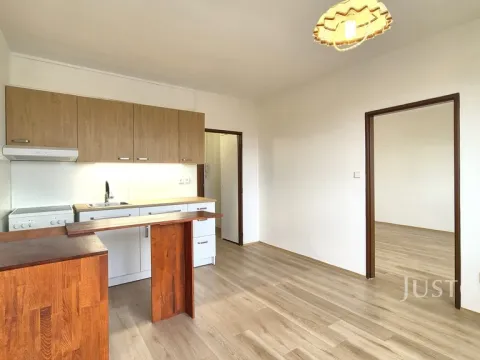 Pronájem bytu 1+1, Písek - Budějovické Předměstí, třída Přátelství, 36 m2