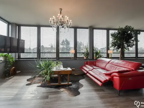 Pronájem bytu 1+kk, Olomouc, Kubíčkova, 97 m2