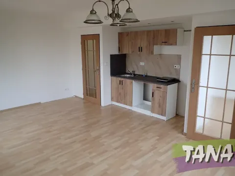 Pronájem bytu 2+kk, Mladá Boleslav, Václavkova, 44 m2