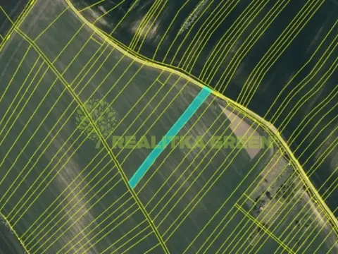 Prodej pole, Svatobořice-Mistřín, Hlavní, 8725 m2