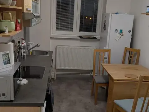 Pronájem pokoje, Mladá Boleslav, Palackého, 15 m2