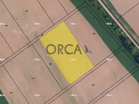 Prodej pole, Lomnice nad Popelkou, 5316 m2