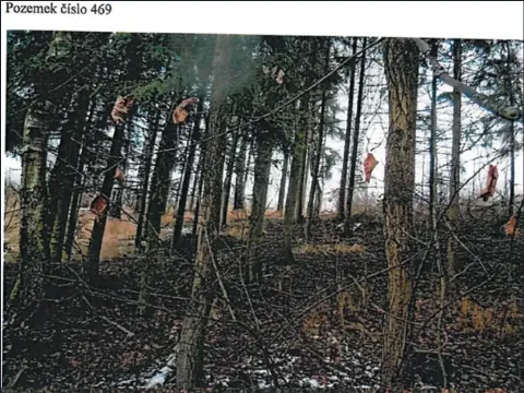 Prodej podílu lesa, Jihlava, 11793 m2