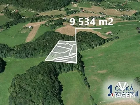 Prodej podílu lesa, Tichá, 6435 m2