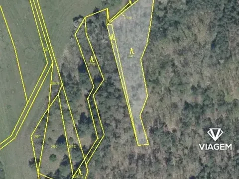 Prodej podílu lesa, Nový Hrozenkov, 220 m2