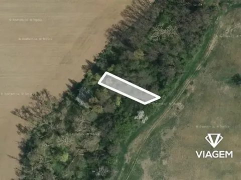 Prodej lesa, Vřesovice, 392 m2