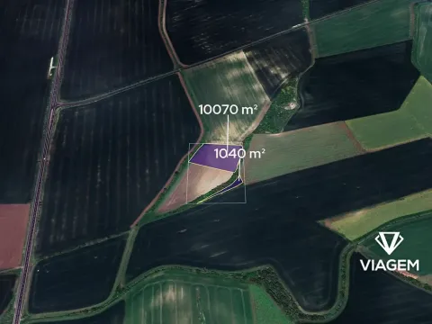 Prodej podílu pole, Bělušice, 1388 m2