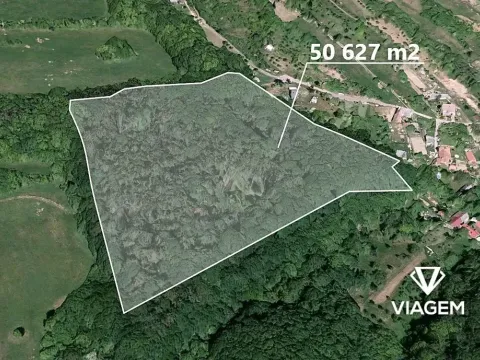 Prodej podílu lesa, Košíky, 8165 m2