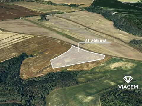 Prodej podílu pole, Štětí, 7088 m2