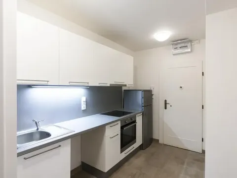 Pronájem bytu 2+1, Praha - Bubeneč, U zeměpisného ústavu, 44 m2