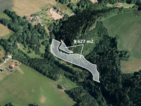 Prodej podílu lesa, Stružinec, 4567 m2