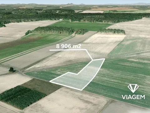 Prodej podílu pole, Sudovo Hlavno, 4453 m2