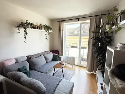 Pronájem bytu 2+kk, Brno, Přadlácká, 56 m2