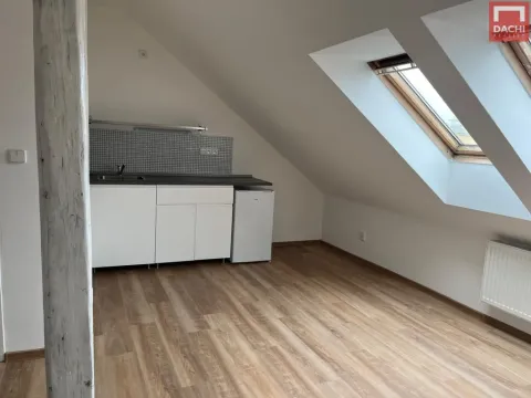 Pronájem bytu 1+kk, Olomouc, Zeyerova, 19 m2