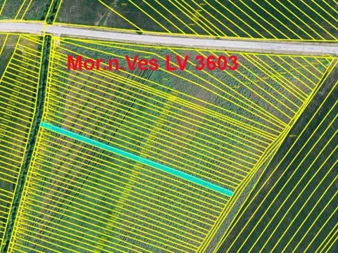 Prodej podílu pole, Moravská Nová Ves, 890 m2