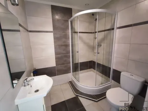 Pronájem bytu 1+kk, Návsí, 30 m2