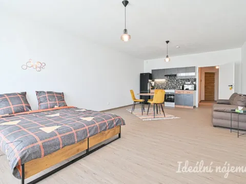 Pronájem bytu 1+kk, Brno, Faměrovo náměstí, 49 m2