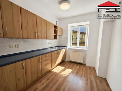 Pronájem bytu 4+1, Brno, Václavská, 100 m2