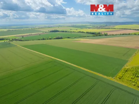 Prodej pole, Šumice, 37901 m2