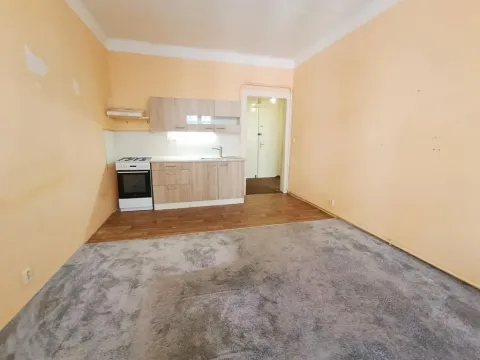 Prodej bytu 2+kk, Praha - Žižkov, Žerotínova, 40 m2