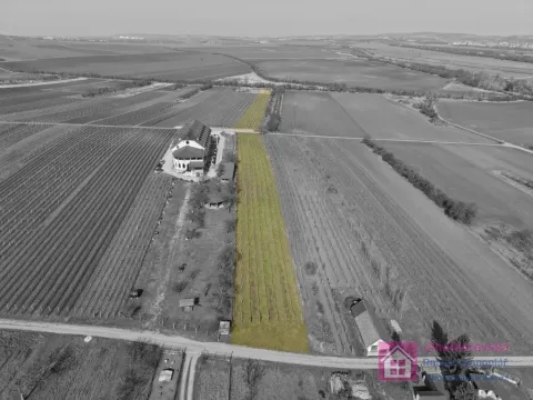 Prodej sadu/vinice, Rakvice, Horní, 9203 m2