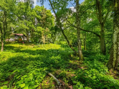 Prodej pozemku pro bydlení, Hrubá Skála, 5519 m2