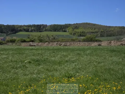 Prodej pozemku pro bydlení, Krnov - Krásné Loučky, 1000 m2