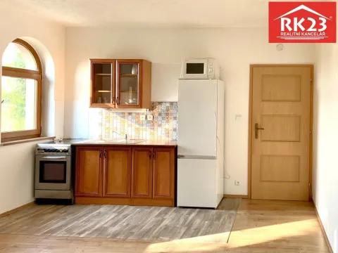 Pronájem bytu 1+kk, Drmoul, 40 m2