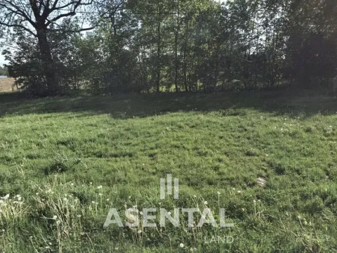 Prodej pozemku, Orlová - Poruba, Závodní, 12324 m2