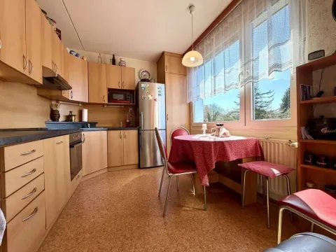 Pronájem bytu 4+1, Tachov, Žižkova, 94 m2