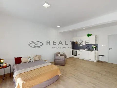 Pronájem bytu 1+kk, České Budějovice, Puklicova, 38 m2